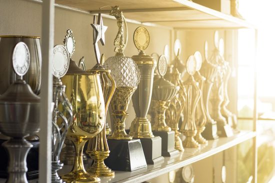 Una serie di trofei su uno scaffale